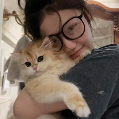 蜂蜜与四叶草第二季